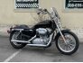 2007 Harley-Davidson Sportster for sale 201296475
