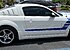 2008 Ford Mustang GT Coupe for sale 101403984