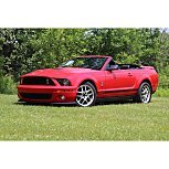 2008 Ford Mustang Shelby GT500 Convertible for sale 101752869
