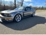 2008 Ford Mustang Saleen for sale 101843087