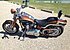 2008 Harley-Davidson CVO Screamin Eagle Softail Springer Anniversary for sale 200707846