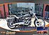 2008 Harley-Davidson Softail for sale 200671144