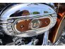 2008 Harley-Davidson CVO Screamin Eagle Road King Anniversary for sale 201299123