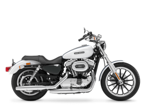 2008 Harley-Davidson Sportster for sale 201352186