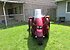 2008 Thoroughbred Stallion for sale 200577549