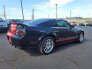 2009 Ford Mustang Shelby GT500 for sale 101799380