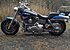 2009 Harley-Davidson CVO for sale 200518135