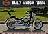 2009 Harley-Davidson Softail for sale 200523454