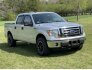 2010 Ford F150 for sale 101763198