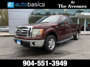 2010 Ford F150 for sale 101820636