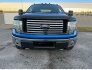 2010 Ford F150 for sale 101843676