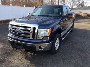 2010 Ford F150 for sale 101871316