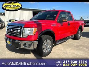 2010 Ford F150 for sale 101877078