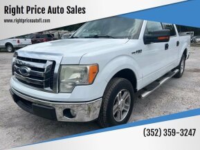 2010 Ford F150 for sale 101892781