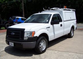 2010 Ford F150 for sale 101905808