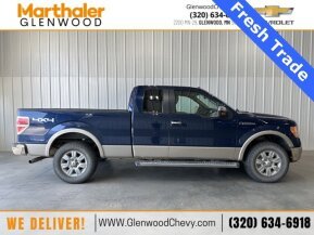2010 Ford F150 for sale 101916481