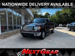 2010 Ford F150 for sale 101941726