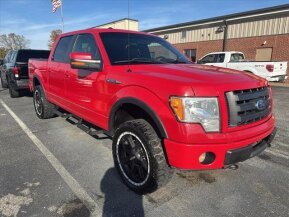 2010 Ford F150 for sale 101964241