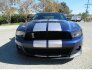 2010 Ford Mustang Shelby GT500 Convertible for sale 101808411