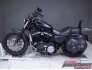 2010 Harley-Davidson Sportster for sale 201224165