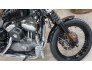 2010 Harley-Davidson Sportster for sale 201271536