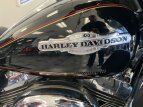 Thumbnail Photo 2 for 2010 Harley-Davidson Shrine