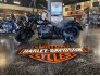 2010 Harley-Davidson Softail for sale 201171975