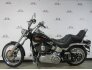 2010 Harley-Davidson Softail for sale 201274294
