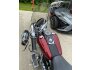2010 Harley-Davidson Softail for sale 201284144