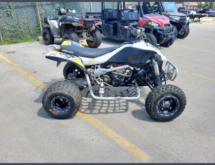 Photo 1 for 2011 Can-Am DS 450