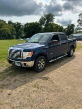 2011 Ford F150 for sale 101966243