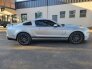 2011 Ford Mustang Shelby GT500 for sale 101836746