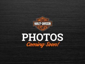 2011 Harley-Davidson Softail for sale 201220858