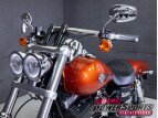 Thumbnail Photo 8 for 2011 Harley-Davidson Dyna