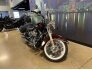 2011 Harley-Davidson Softail for sale 201257139