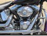 2011 Harley-Davidson Softail for sale 201287015