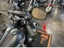 2011 Harley-Davidson Softail for sale 201302202
