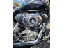 2011 Harley-Davidson Softail for sale 201323982
