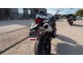 2012 Ducati Monster 796 for sale 201324831