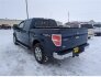 2012 Ford F150 for sale 101838080