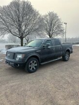 2012 Ford F150 for sale 101966241