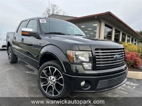 2012 Ford F150 for sale 102009632