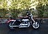 2012 Harley-Davidson Sportster for sale 201059719