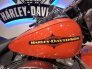2012 Harley-Davidson Softail for sale 201206497