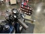 2012 Harley-Davidson Softail for sale 201223169
