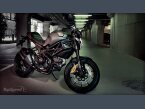 Thumbnail Photo 2 for 2013 Ducati Monster 1100 for Sale by Owner