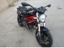 2013 Ducati Monster 796 for sale 201307184