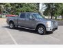 2013 Ford F150 for sale 101795734