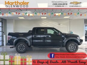 2013 Ford F150 for sale 101803631