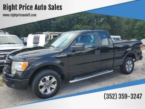 2013 Ford F150 for sale 101887616